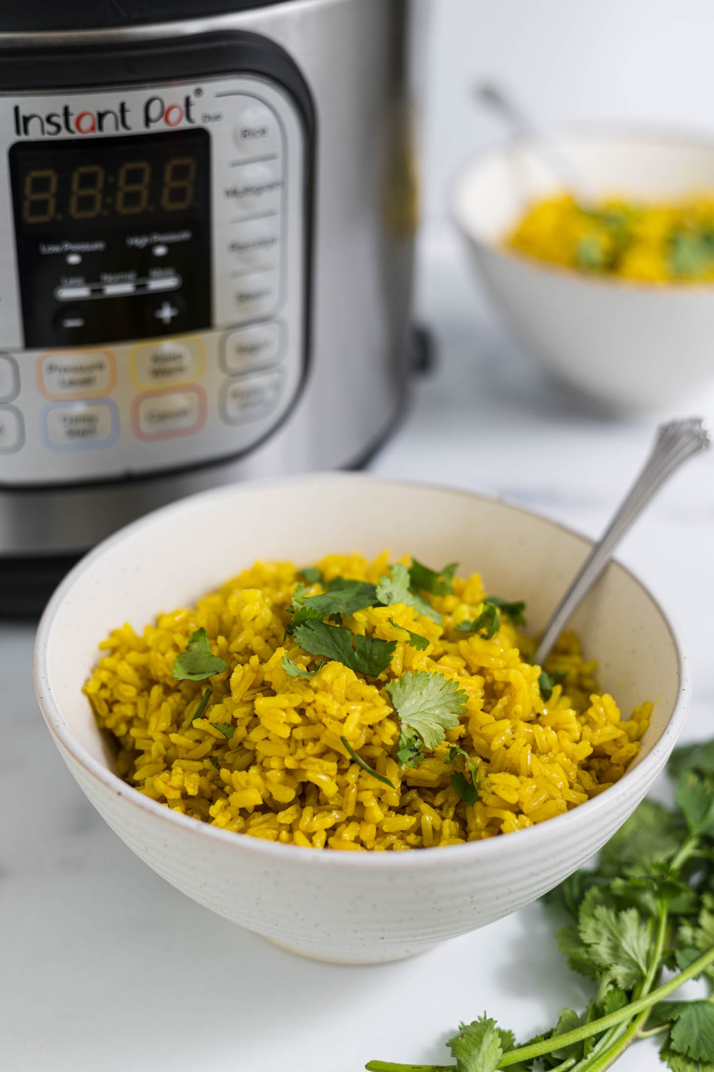 Instant pot turmeric rice sale