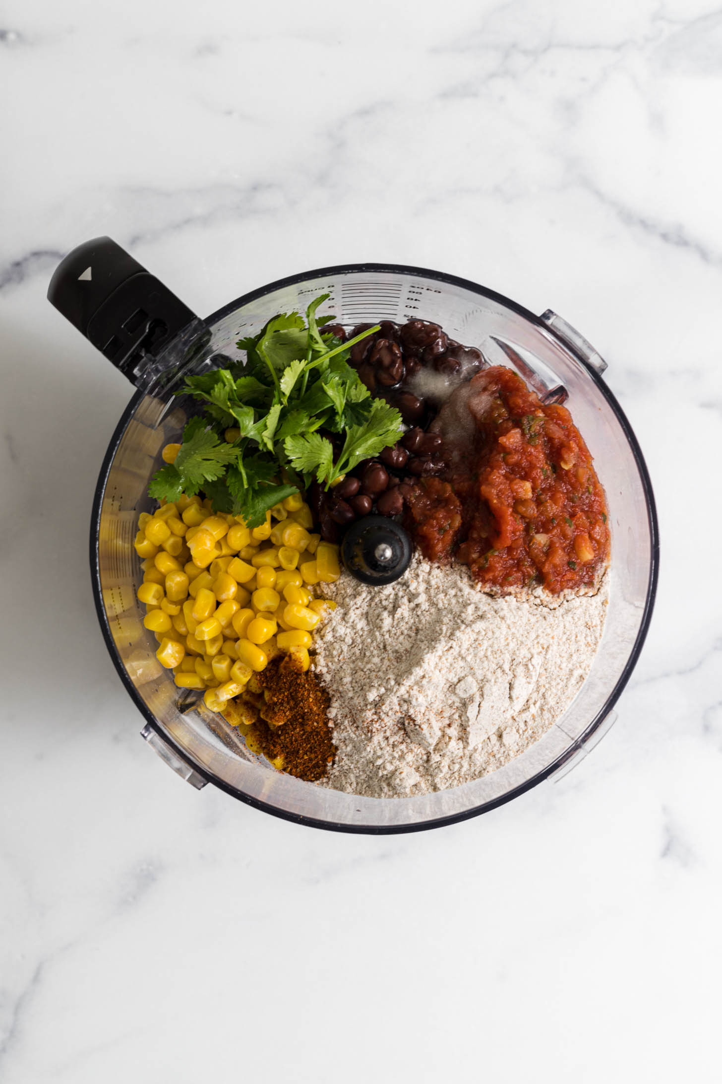 All ingredients in a food processor.