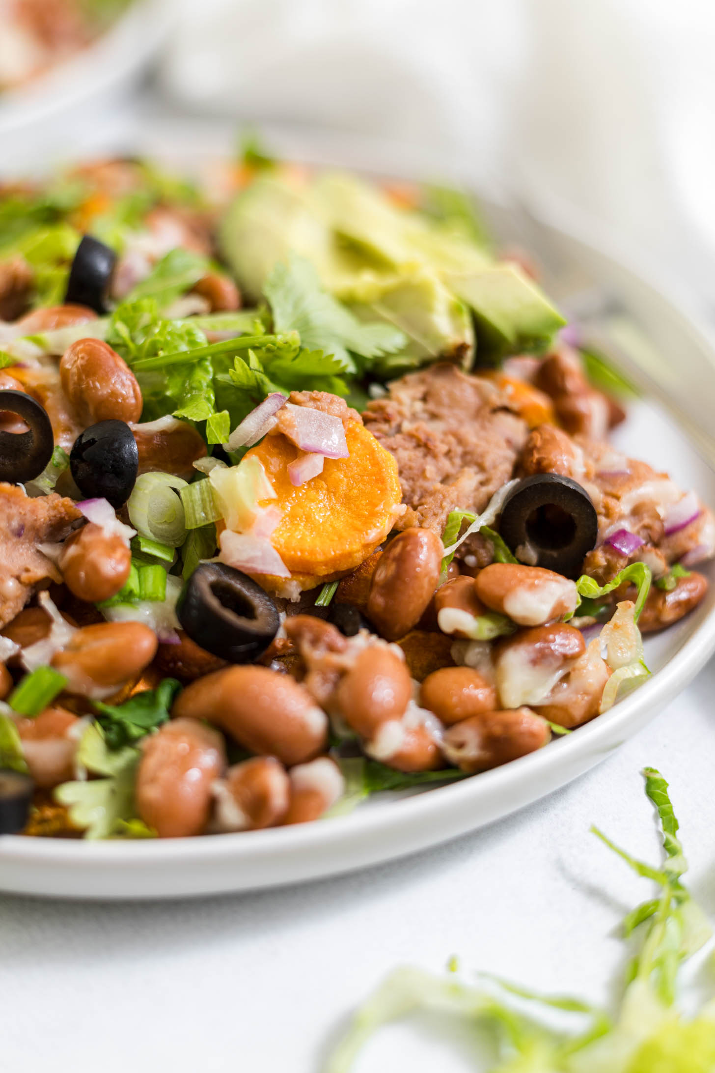 Close up view of nachos on a plate.