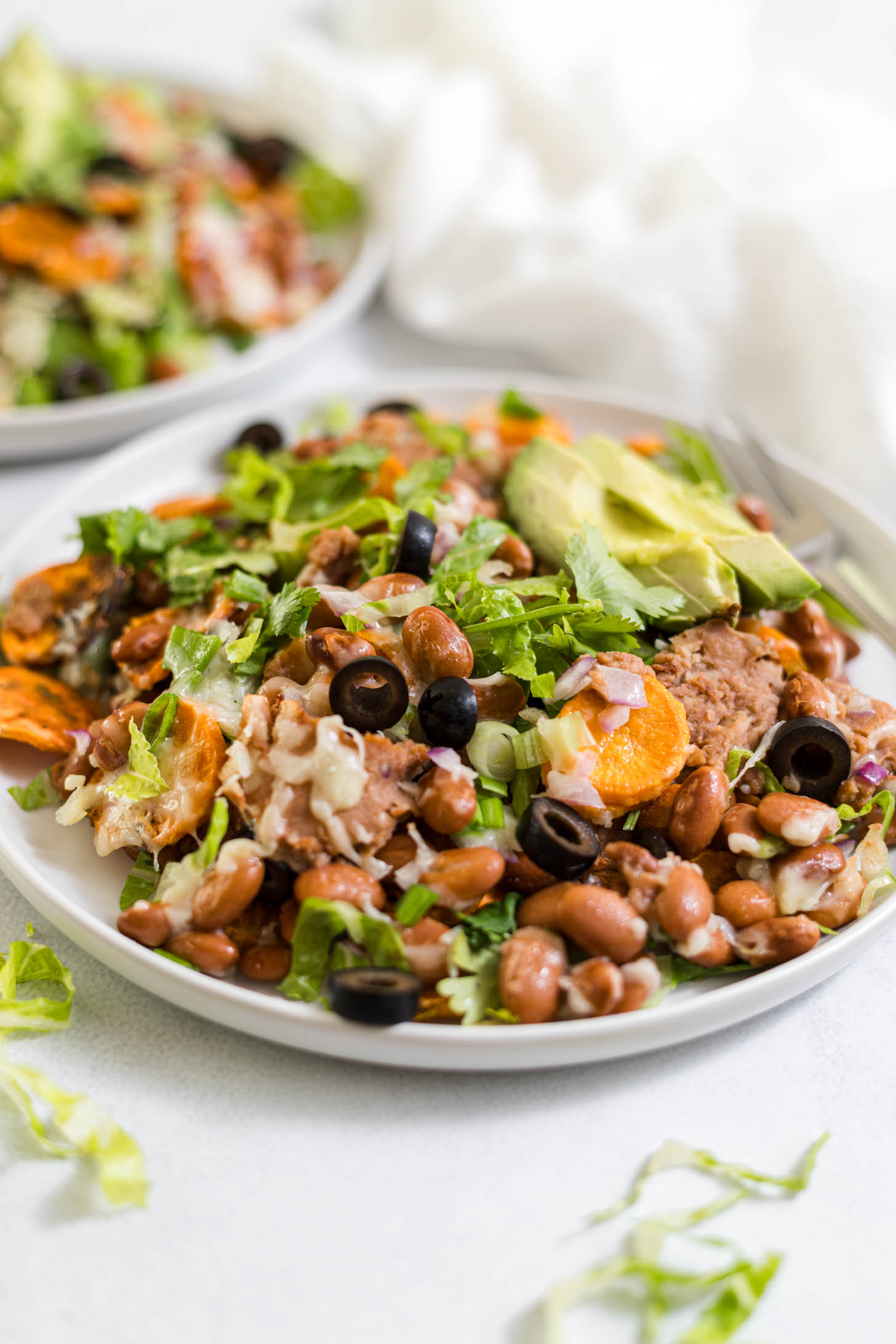 Side view of nachos on a plate.